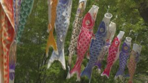 「まつり」延期も子どもの為に　上田青年会議所 鯉のぼり設置　　上田城跡公園