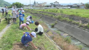浦里小学校３年生　地域住民と一緒にコスモス苗植え　　上田市浦野