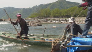 つけばシーズンを終えて 台風で苦労も 例年並みの漁獲髙 坂城町坂城大橋近く