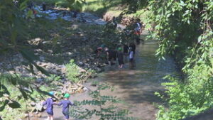 住民が整備した水辺で　小学生が元気に川遊び　　上田市 室賀川