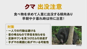上田地域で目撃情報・被害相次ぐ　クマ出没 注意