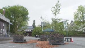 上小造園組合「庭の日」　新しい庭の形を提案　上田城跡公園