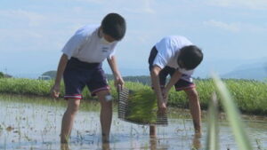 真田中学校２年生　地元農家から米づくりを学ぶ　上田市