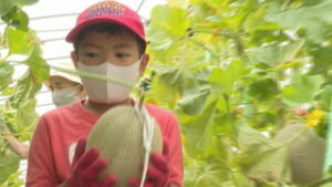 浦里小学校３年生　地元の農園でメロン収穫体験　上田市