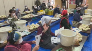 “信州の伝統野菜”への理解を深める　山口大根の漬物教室　上田市　山口自治会館