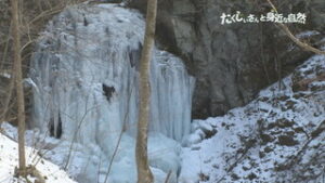 たくじぃさんと身近な自然　凍る滝と凍らない滝　上田市菅平・長和町大門　