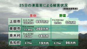 ２５日の凍霜害　上田地域で１，３２０万円余りの被害　