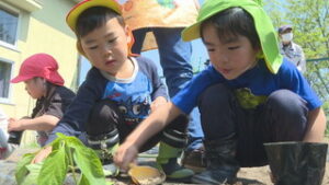 市が園に野菜苗を配布　園児たちが植え付けを体験　上田市塩川　ちぐさ幼稚園