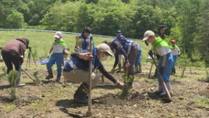 災害に強い森づくり　青木村田沢で千曲川上・下流住民による植樹会