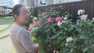 コーナー「ようこそ！私のお庭へ」　バラ５０年育てる服部みよ子さん　上田市中央