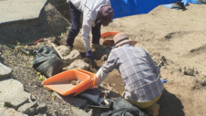 上田城復元に向け　細かな発掘作業で『冠塀台』調査再開　上田城跡公園