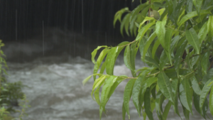 オープニング　上田地域は雨　今後も災害に警戒