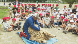 命の大切さ学ぶ授業　１年生　羊の毛刈りを見学　上田市立中塩田小学校