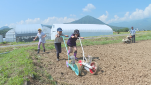 今年こそ「ひまわり迷路」を　浦里小３年生と住民有志が種まき　上田市浦野　