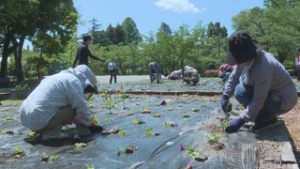 訪れた人を花でおもてなし　ボランティアが上田城跡公園に花植え