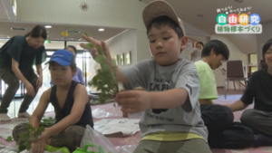 調べよう！ やってみよう！ 夏休み　植物の標本づくり　青木村昆虫資料館