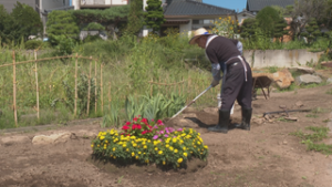 通行人を楽しませたい　理容師が空き地で花壇づくり　東御市和　東上田区