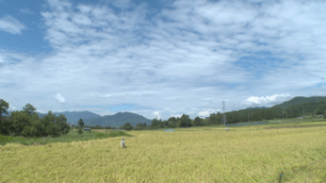 オープニング　真夏の暑さ続く　上田市富士山　