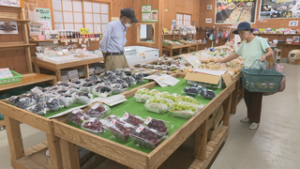 さかき地場産直売所あいさい　秋の味覚が勢ぞろい　坂城町