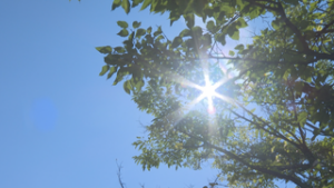 １０月なのに３１度　季節はずれの真夏日