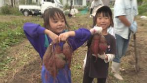 学童保育所ふれんど　地域の人とさつま芋掘り　上田市諏訪形