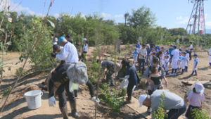 木を身近に感じて　新テニスコートに苗木を植樹　上田市築地