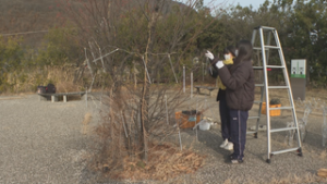 地域の人を楽しませたい　高校生が駅前を光で彩る　しなの鉄道西上田駅前