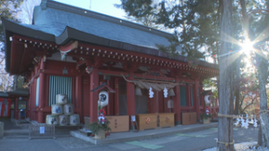 今年は巳年！　生島足島神社に棲むヘビ　上田市下之郷