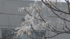 オープニング　霧氷　上田市中央東