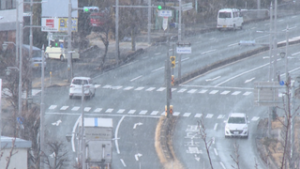 土曜日は雪　最強寒波は来週まで