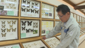 青木村　信州昆虫資料館　“学べる”施設にリニューアル