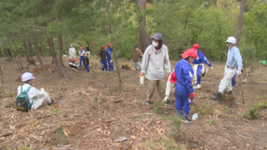 アカマツ山の復活目指し　びんぐし山で植樹祭　坂城町