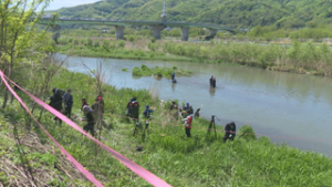 アユの友釣り解禁を前に　カワウ対策と稚アユの放流　上田市常田