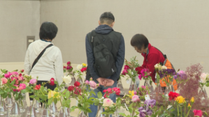 上田ばら会　会員自慢の切りバラ並ぶ　上田市中央公民館