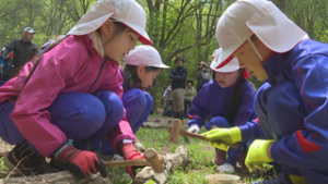 坂城小学校　春の学有林活動　坂城町和平高原