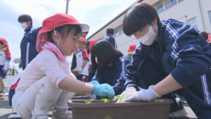 年長園児と花植で交流　上田市立第五中学校