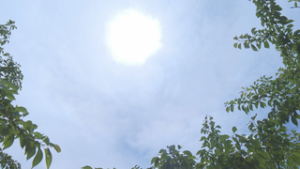気になる梅雨入りは？