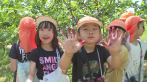 青木村保育園　桑の実　収穫体験 上田市古安曽　