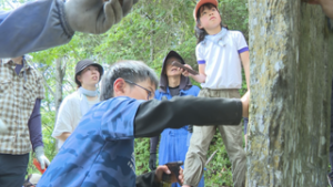 小牧自治会　地元の小牧城址の魅力を発信　上田市小牧