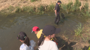 坂城町の恒例行事　川の学校　どんな生き物がいるのかな？　坂城町