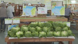７月２日は「夏の長野県産レタスの日」　地元産の採れたてをＰＲ　上田市住吉　うえだ食彩館ゆとり里