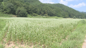 まるっと０２６８　９月１日