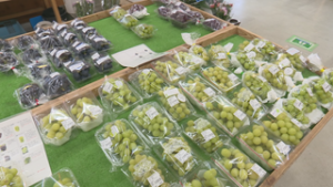 小ぶりだが糖度の高いぶどう並ぶ　さかき地場産直売所あいさい