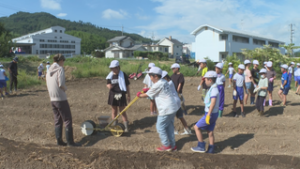上田市立城下小学校４年生　うえだみどり大根の種まき　上田市諏訪形