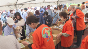 甘いブドウを味わって　巨峰の王国まつり　東御中央公園
