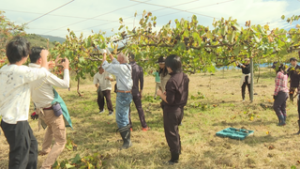 観光のきっかけに 東御市で農業体験 東御市和