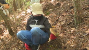 武石の山の恵に触れる 武石小6年生 マツタケ収穫体験