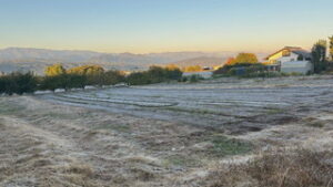 今朝も冷え込み 東御市・上田市菅平高原・上田市諏訪形
