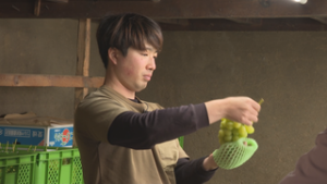 新たなスタイルでブドウ栽培 竹内勇樹さん 東御市和