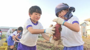 遊休農地を活用して 諏訪形の有志でつくるサツマイモ 上田市諏訪形